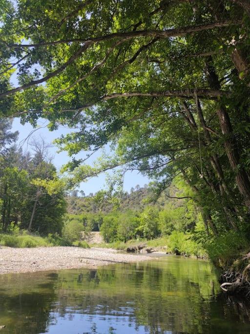 Gite Et Jardin En Bord De Riviere Saumane 外观 照片