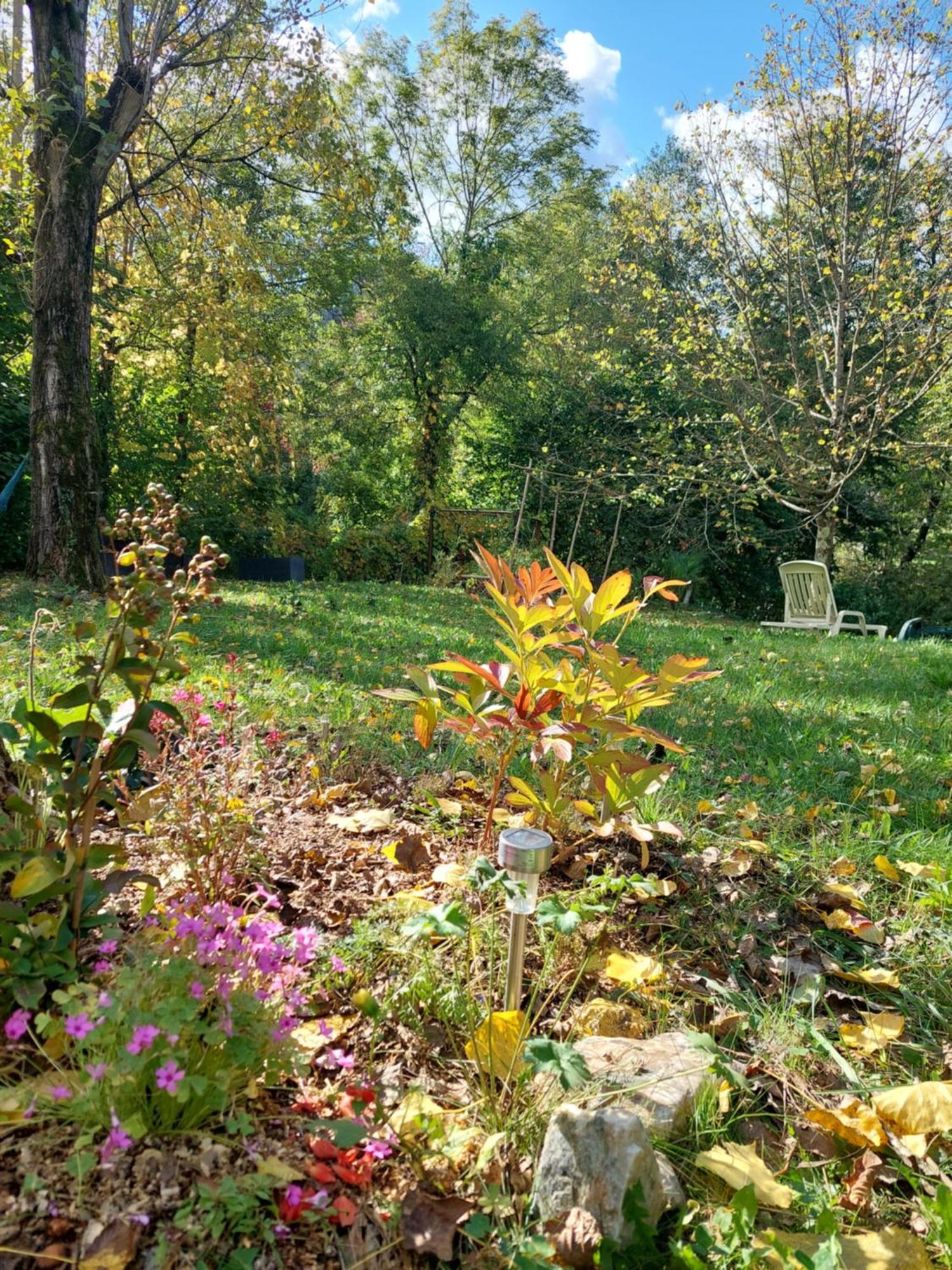 Gite Et Jardin En Bord De Riviere Saumane 外观 照片