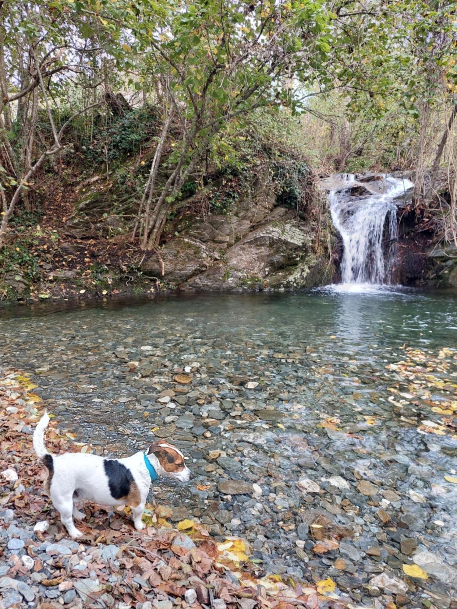 Gite Et Jardin En Bord De Riviere Saumane 外观 照片